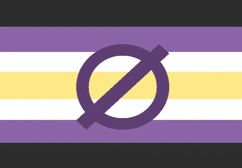 A flag with the genderless symbol on it