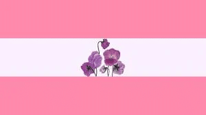 Alternate sapphic flag