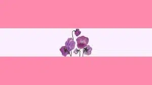 Alternate sapphic flag