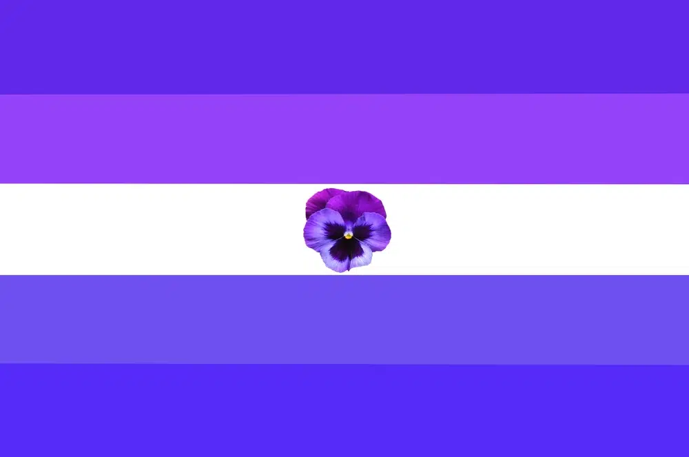Midnight sapphic flag by @wintermidnight_