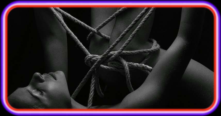 Shibari: The Art of Japanese Rope Bondage
